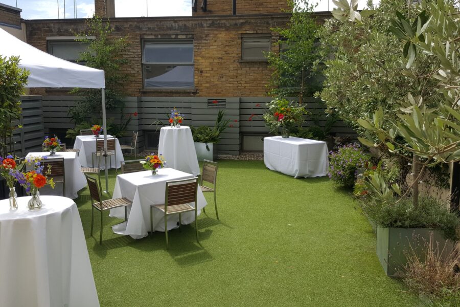 The Rooftop Terrace