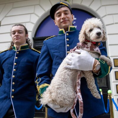 A Tail-Wagging Success with Edgard & Cooper and Tribe Agency